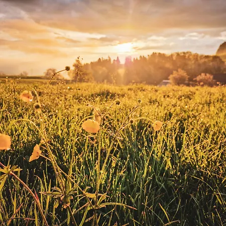 Semesteranläggning (resort) Romantik Bären Dürrenroth