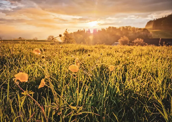 Resort Romantik Bären Dürrenroth